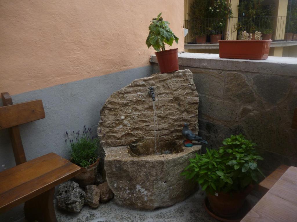 B&B Pisolo E I Persi Pien Roccasparvera Extérieur photo